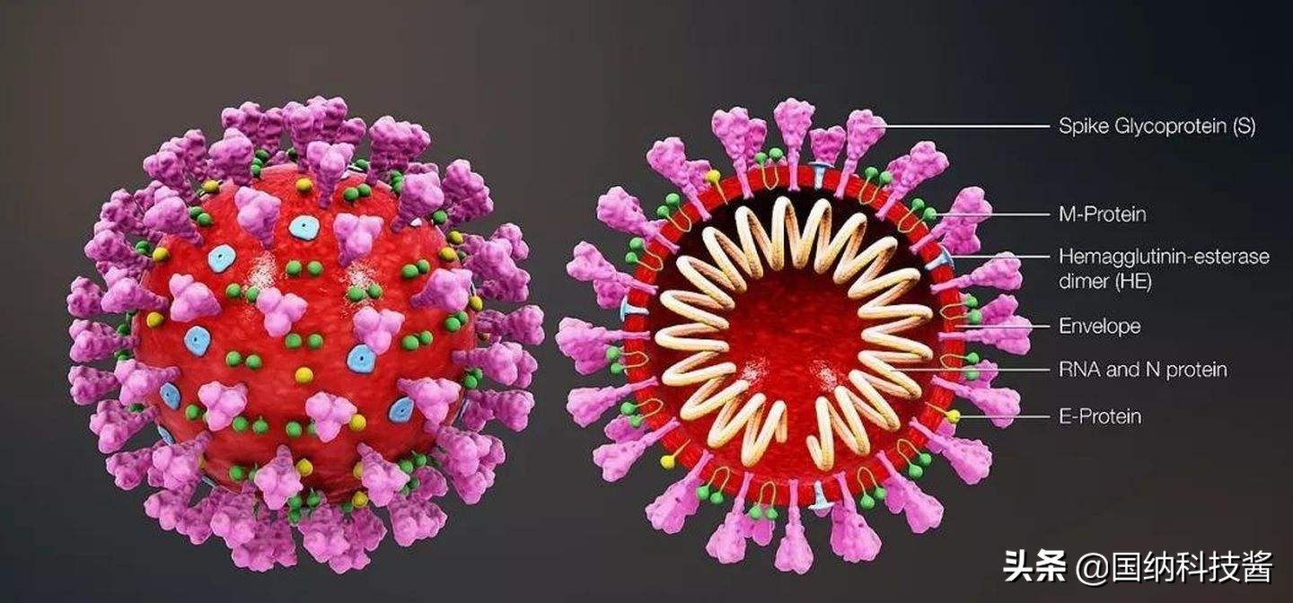 新冠病毒手机也可以测试,手机能检测病毒