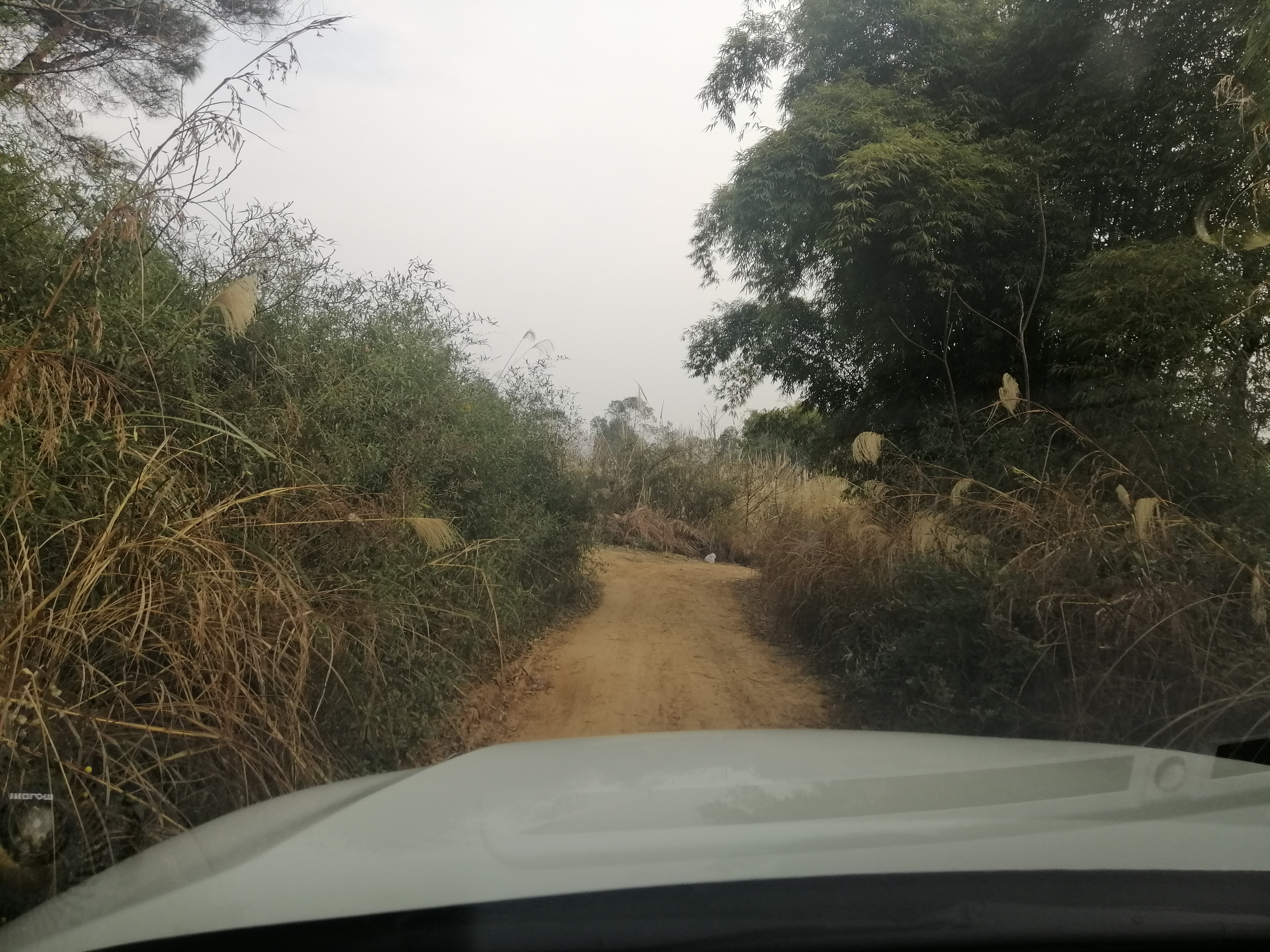 初春挑战攻略,初春挑战什么时候有