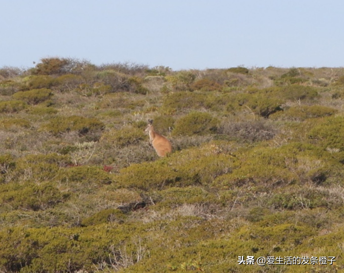 一路向北全程1980公里,西澳自驾游最佳路线图