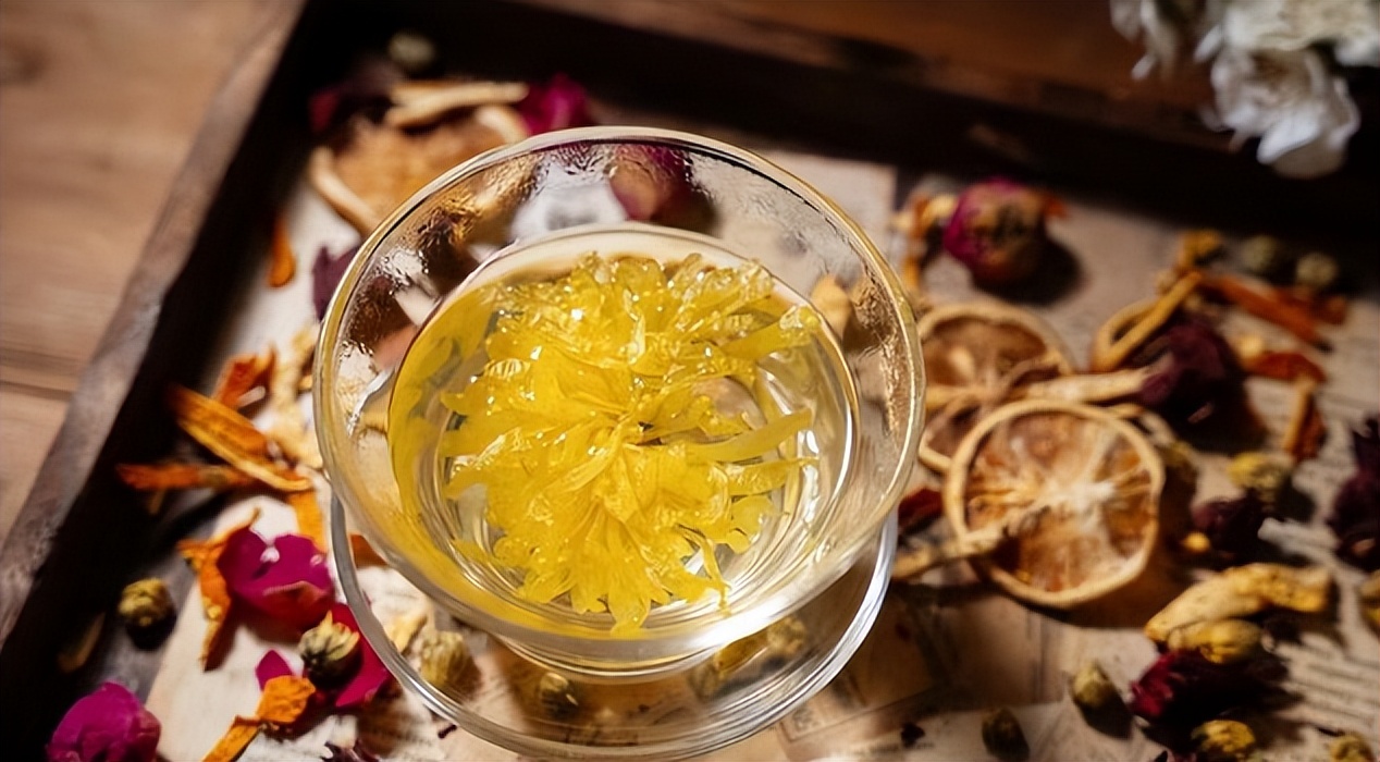 菊花买哪一种菊花比较好,4种菊花你选哪一种