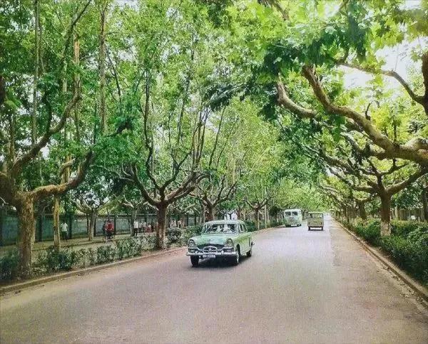 七十年代有高清照片吗,70年代的照片和现在做对比