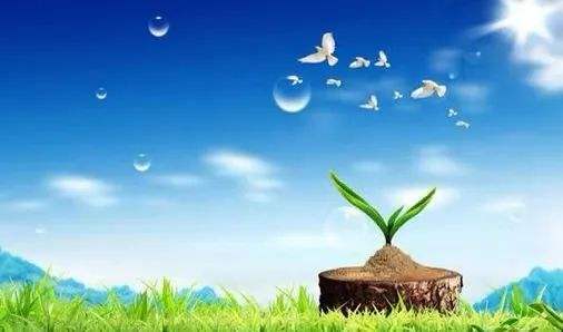 小课堂|学习压力过大怎么办?