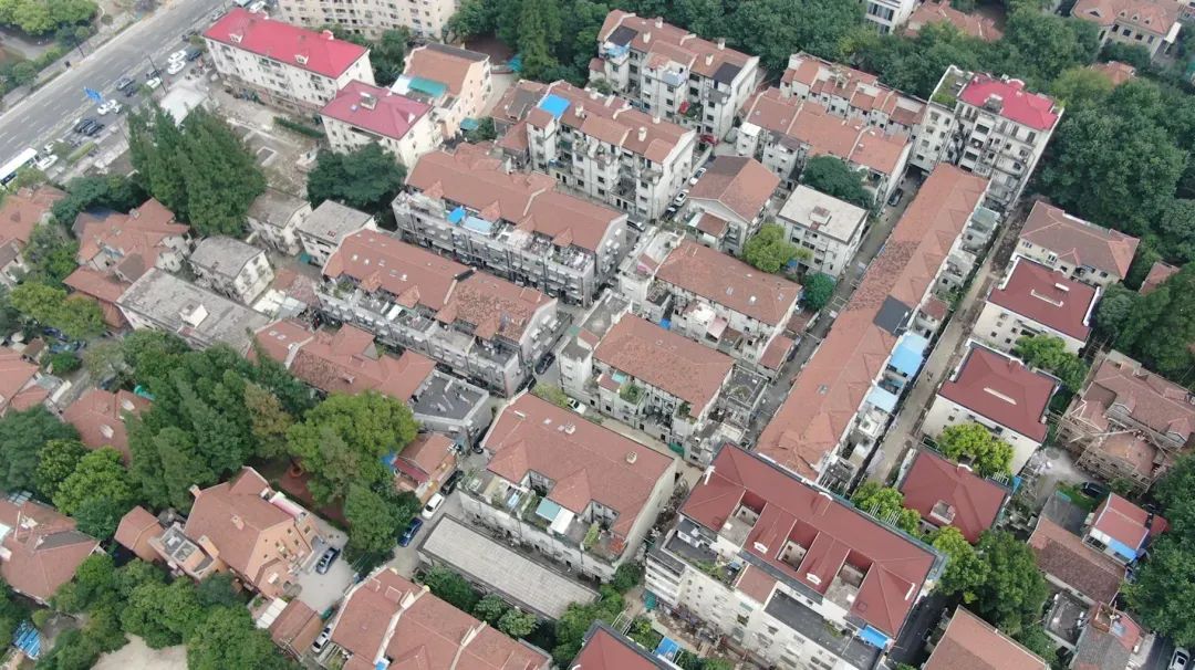 愚园路：有烟火气，也有诗与远方|凝聚30年