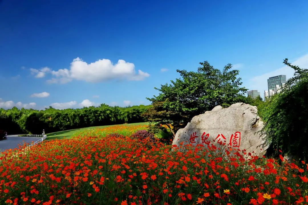 上海地铁直达的公园,上海最美公园地铁站