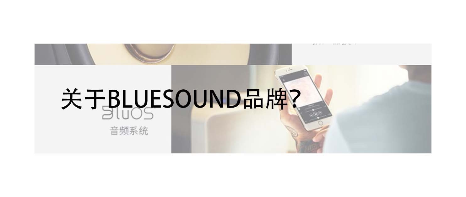 好声音与使用体验：BLUESOUNDPULSEM无线多媒体音箱