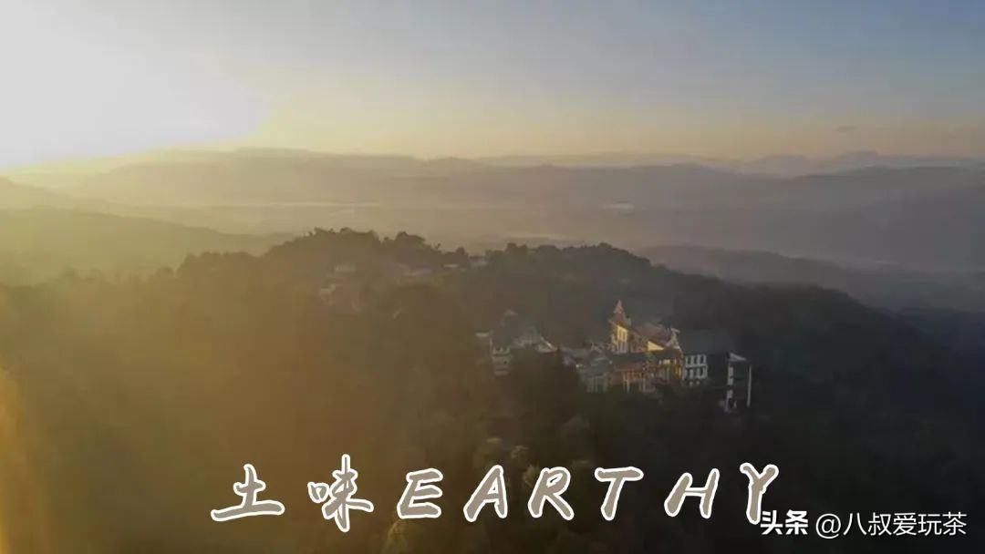 茶类科普知识,各种品牌茶的味道和口感