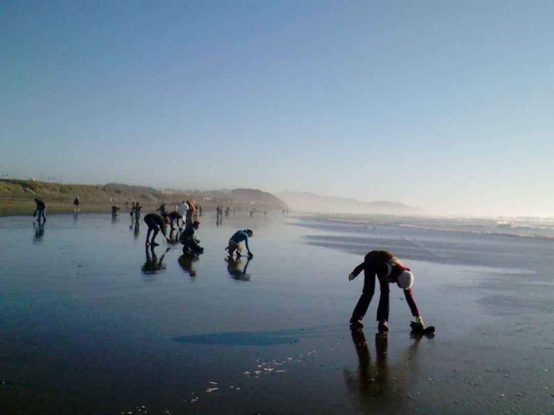 用头发可以清理石油爆上热搜!秃头网友狂喜:哈哈天生我材必有用