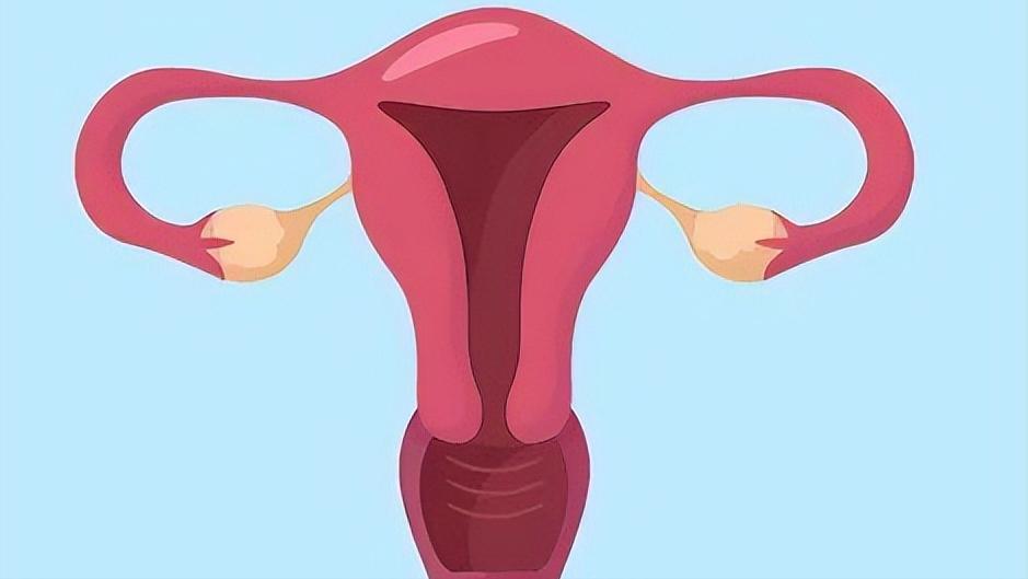 子宫内膜厚度够就是不下来,子宫内膜只有5mm能怀上吗