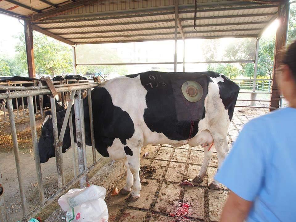 胃部开洞58年，一个普通人的痛苦如何成就消化系统生理学？