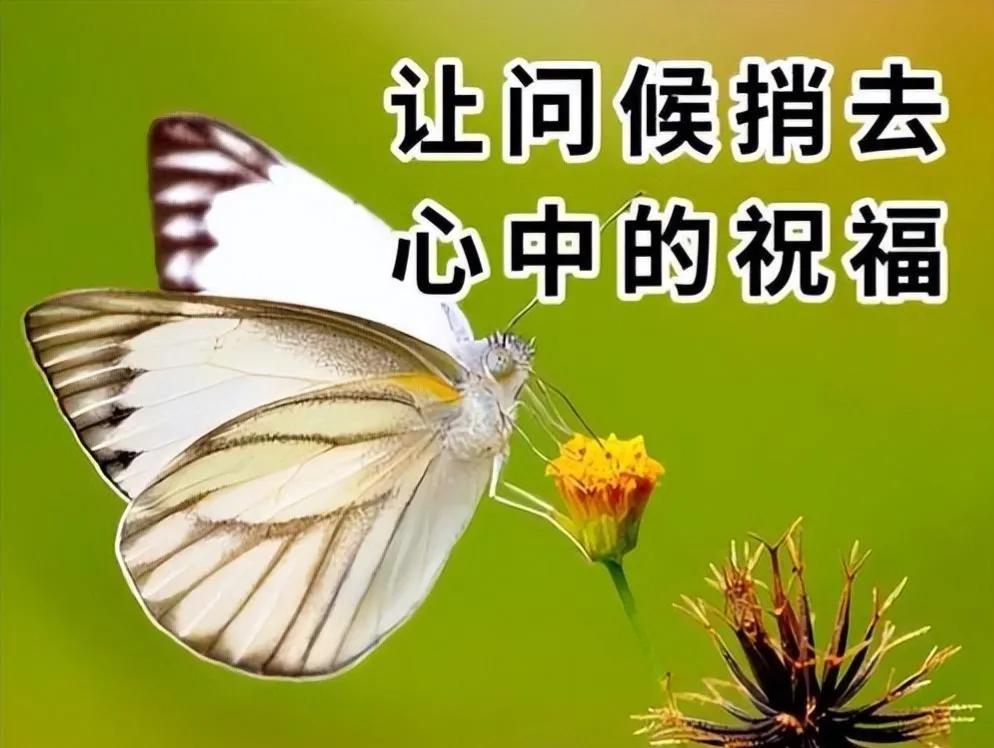 6月5日周一早安快乐！新的一天健康平安幸福安康图文