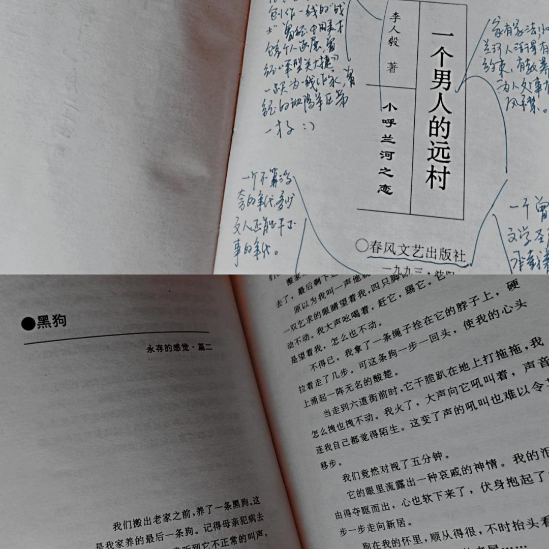 养狗人的视频,养狗人皮肤过敏的症状和表现