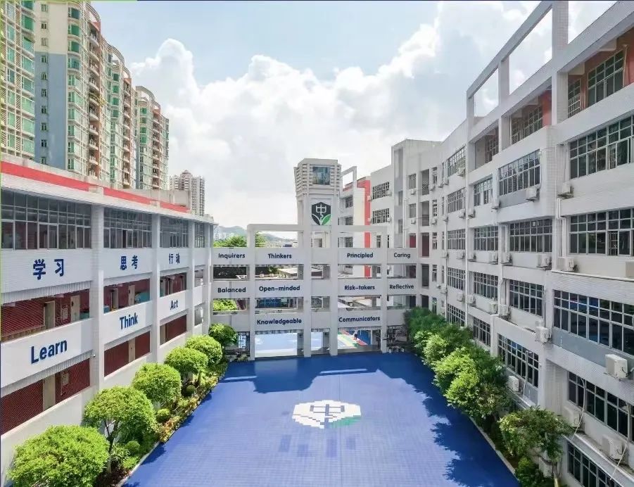 广东最好的国际化学校,广州国际化学校一览表