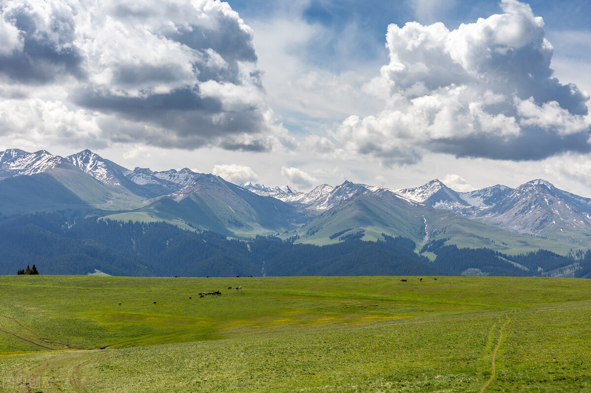 10个冷门却惊艳的小众成语,100个冷门惊艳的成语图片