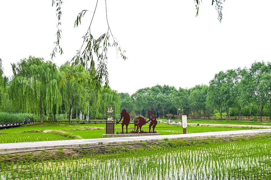 北京免费景美公园大全,北京这个公园也很美