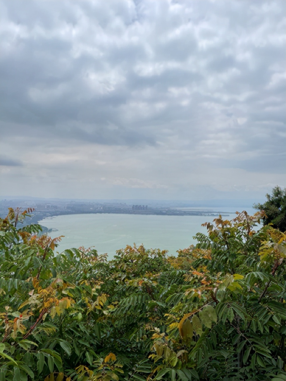昆明一座让人流连忘返的城市,被低估的旅游城市昆明