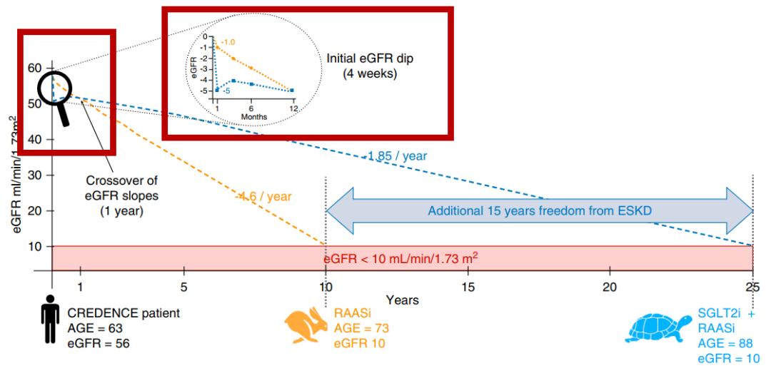延缓尿毒症需要一直吃药吗,现在有没有新药来延缓肾衰