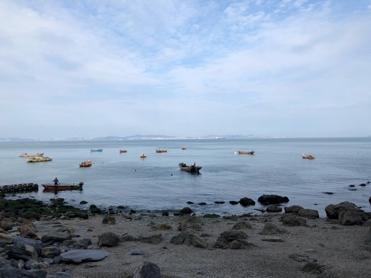 大连跟团自由游多少钱合适,大连旅游需要当地跟团吗