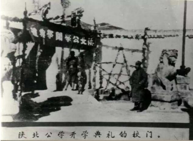 19岁就牺牲的女特工 (为革命胜利牺牲自己的女特工)