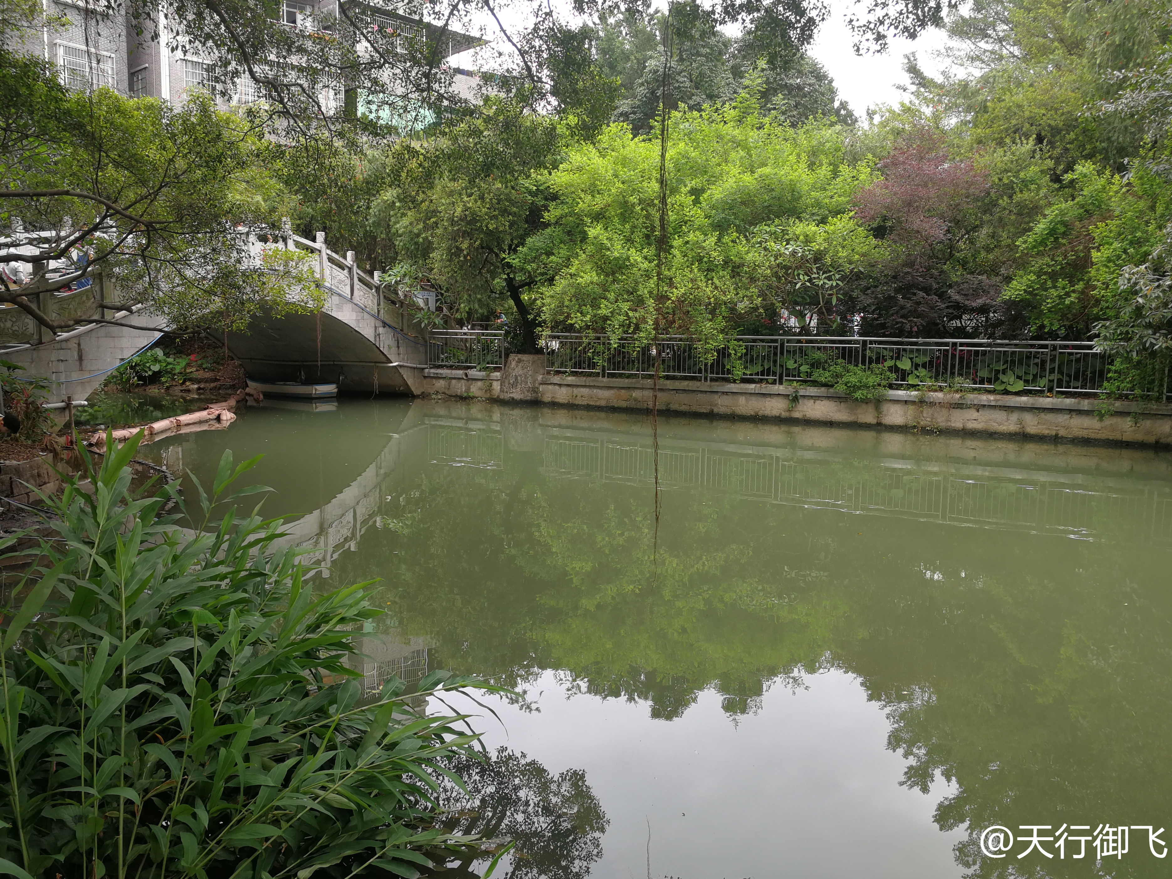 小洲村旅游景点地图,小洲村一日游最佳攻略