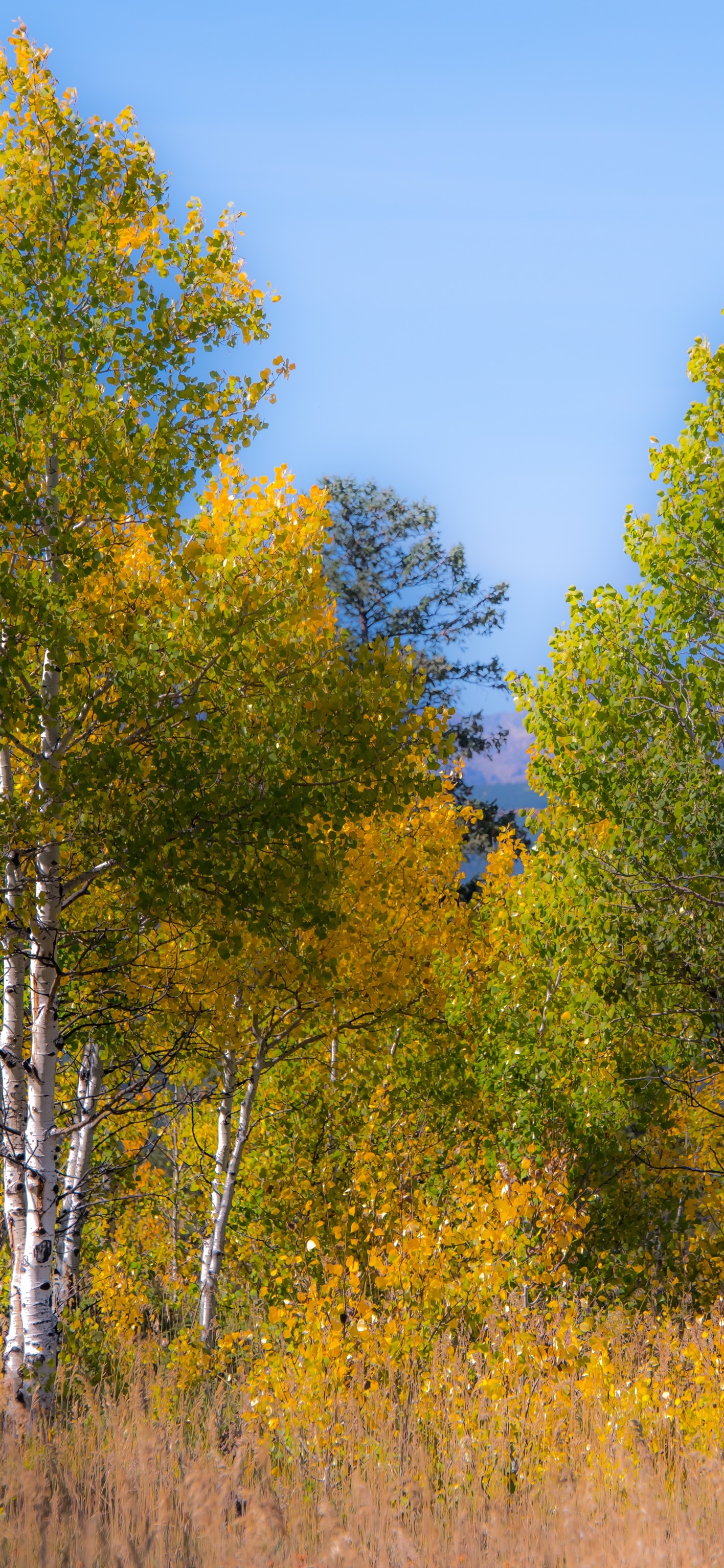 远方精美风景壁纸大全,壁纸风景图集