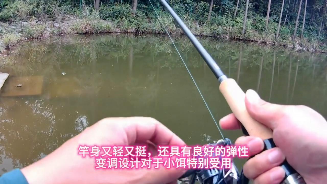 性价比高的长毛猫,性价比小猫猫粮