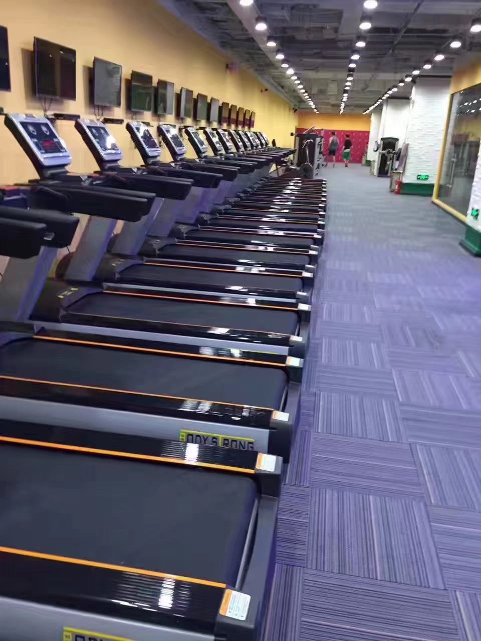 宝德龙健身器材专利,宝德龙906b