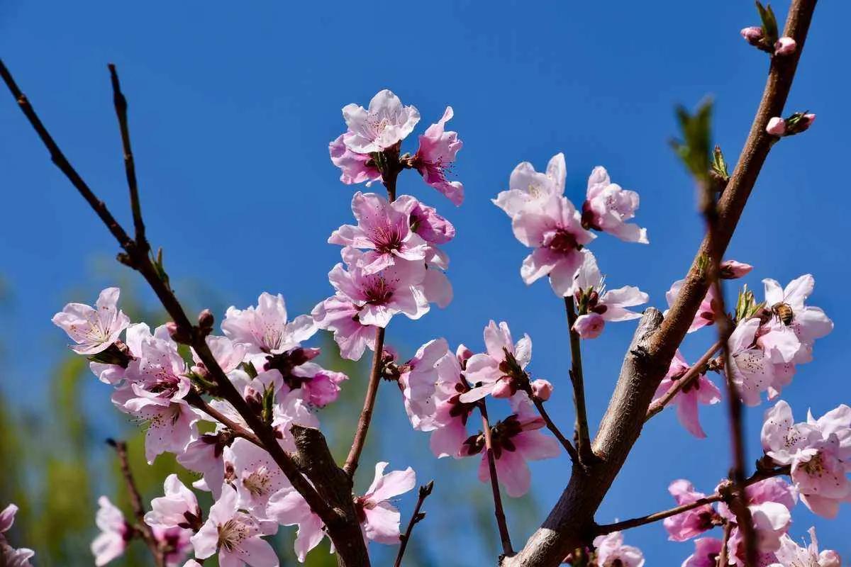 奶奶去世了一直无法释怀,奶奶去世真实讲述