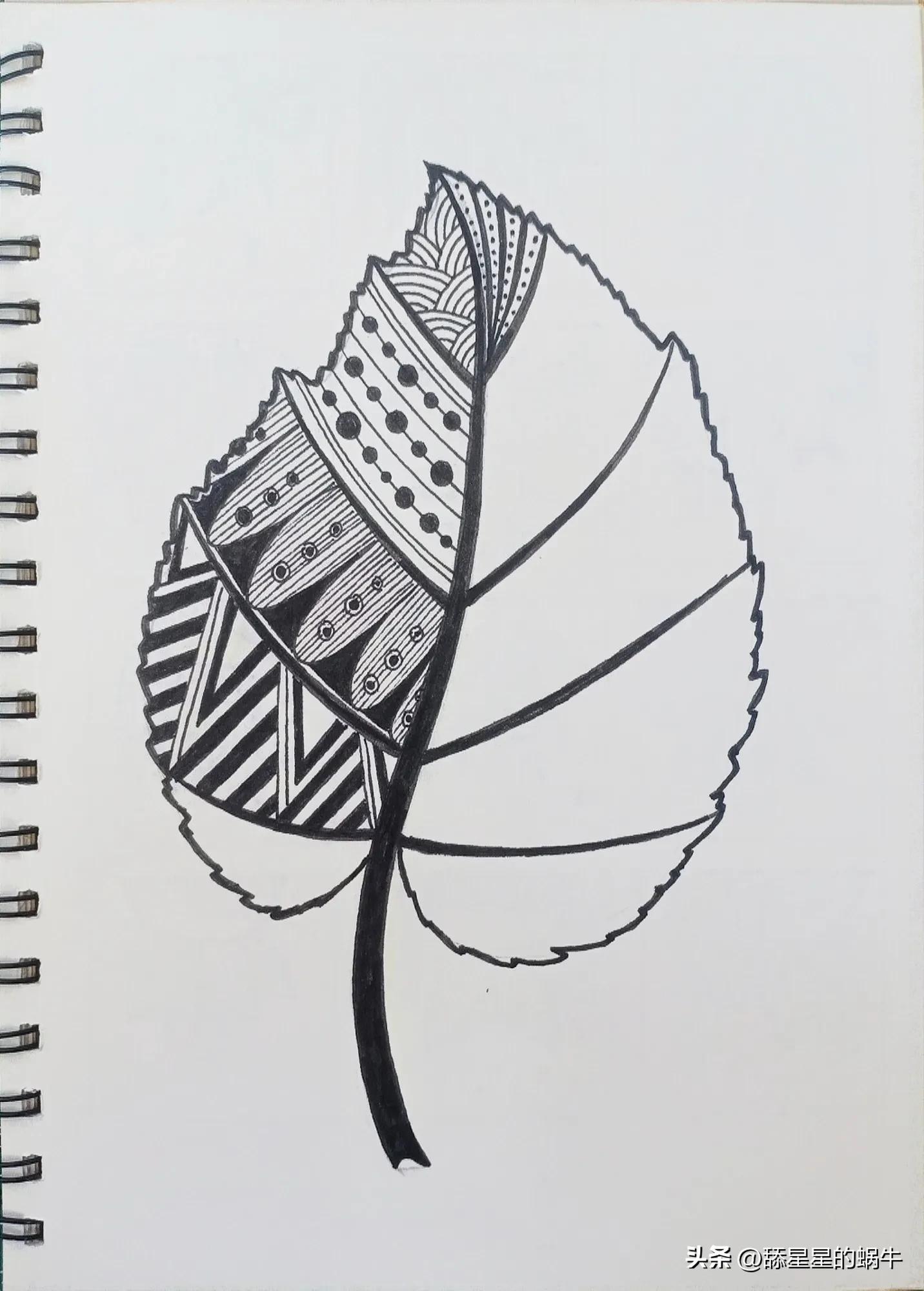 树叶黑白线描画简单花纹,点线面的树叶创意线描