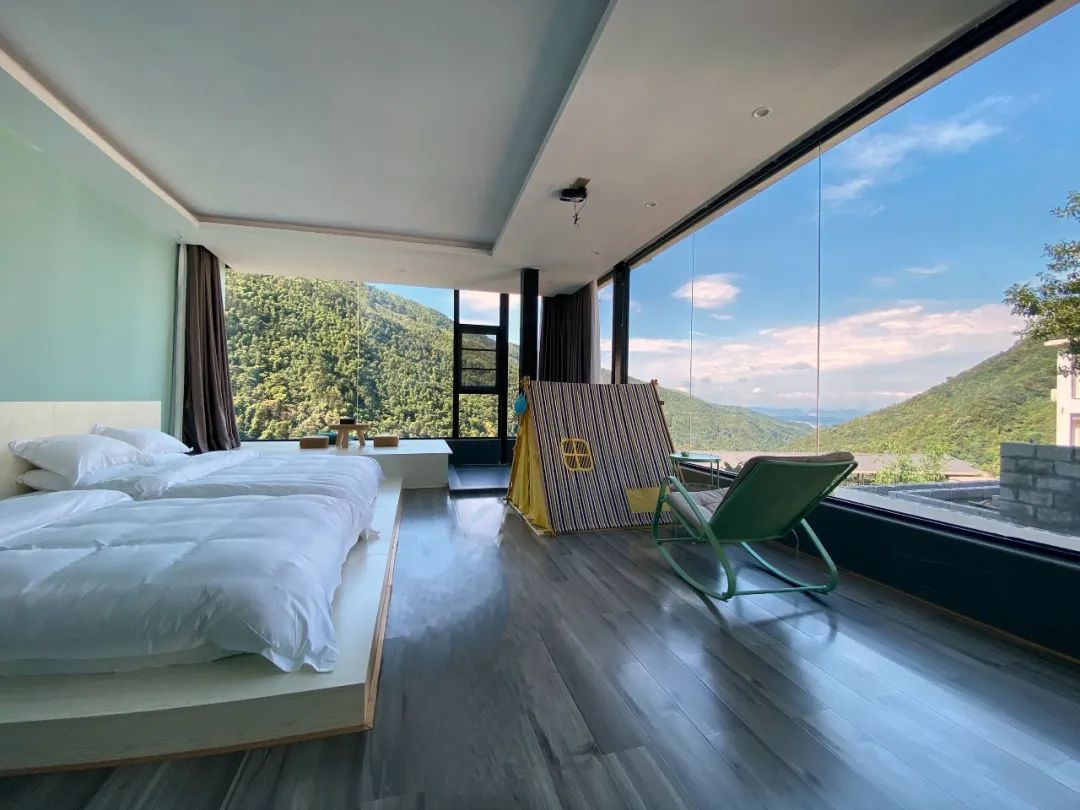 猫咪走太空步原视频最火,猫咪壁虎漫步视频