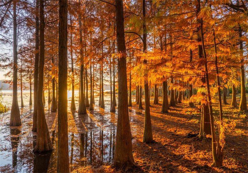 大理开启大理之旅,冬季的大理适合旅游吗