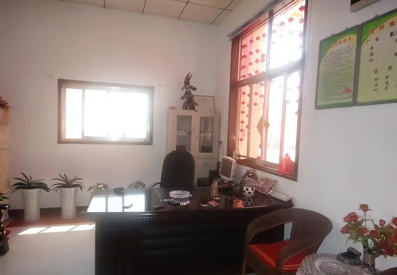 我，做过小生意，当过厂长，人到中年却被迫成北漂，做起了保姆