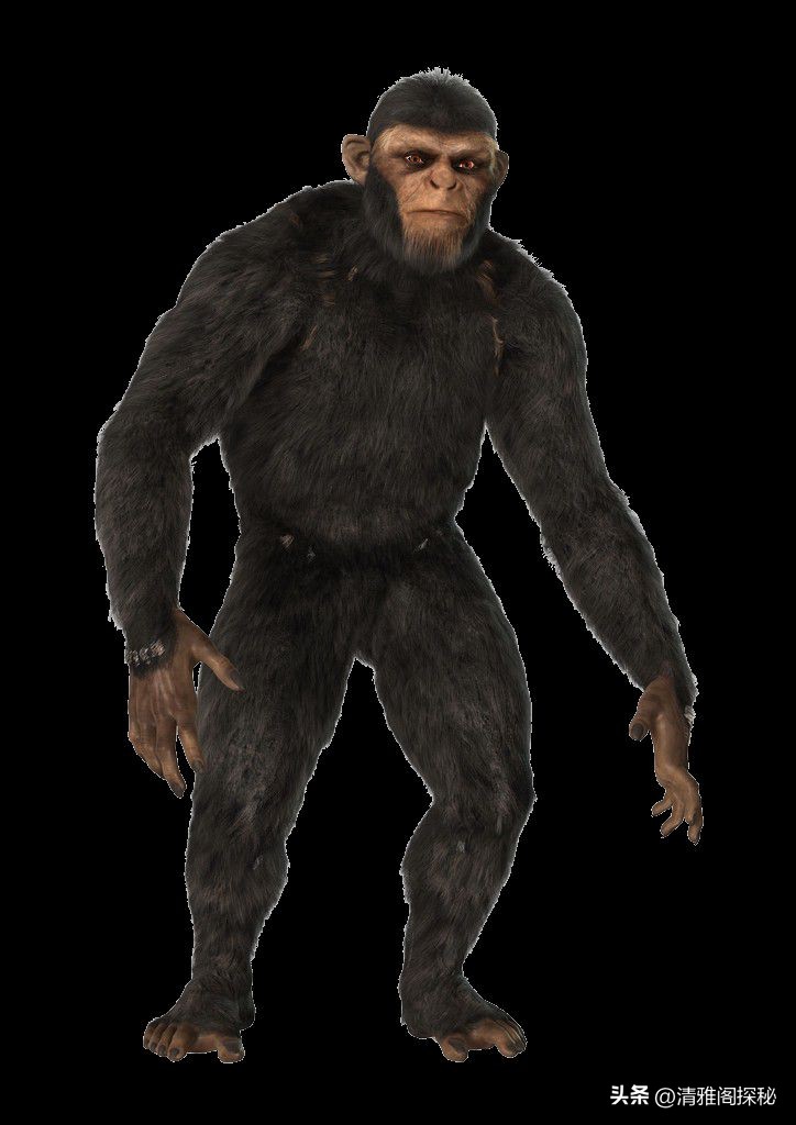 人类为什么褪去体毛？却保留了头发、腋毛和阴毛，有什么用？