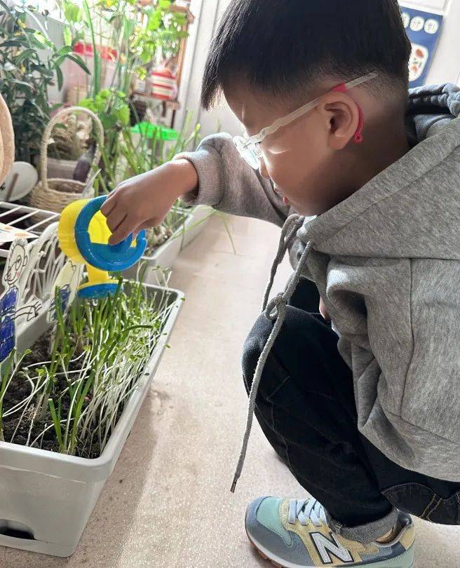 生态环创幼儿园自然角,幼儿园环创自然角实验