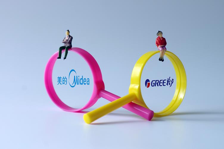 格力盈余管理案例,行业竞争对商业模式的影响