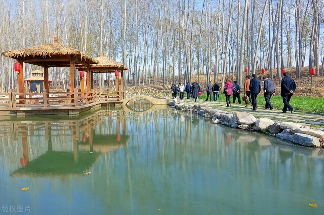 赋能人文课堂：锤炼语文课堂里的风雅颂