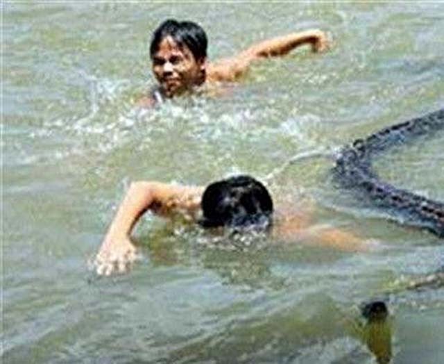 96年海南巨蟒为报恩甘愿当保姆,巨蟒为报恩守护十几年