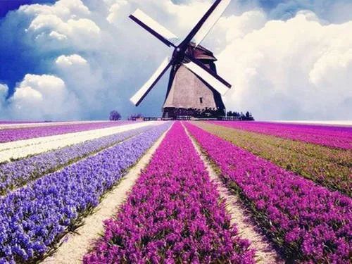 这条惊艳奇绝的公路,行走在天山脊梁上的最美景观公路