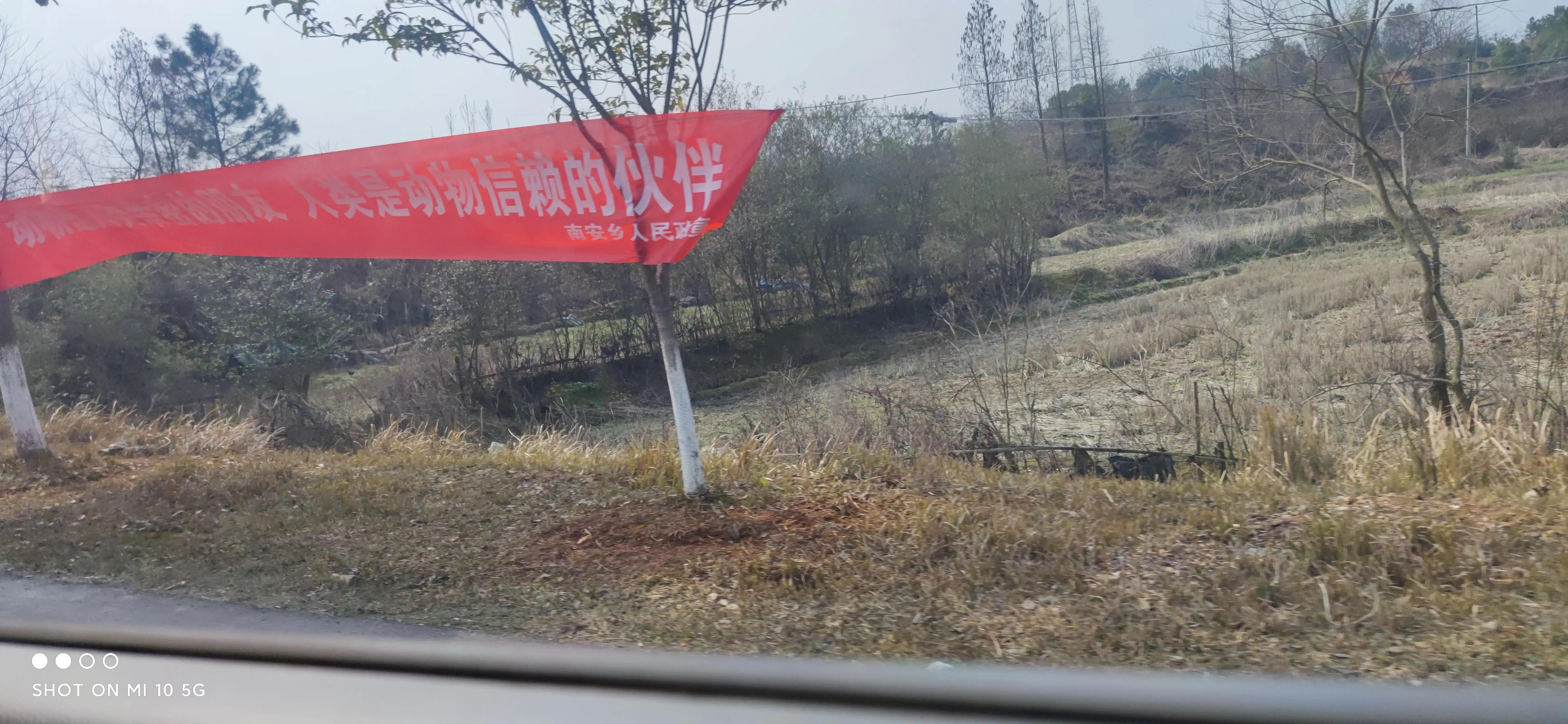 一个保姆的人生感悟,一个保姆做十年