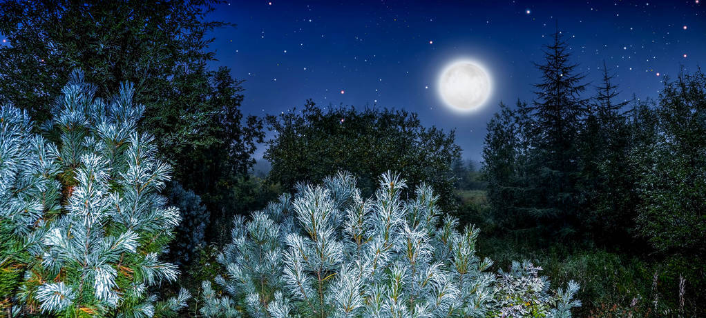 西厢记中听琴,《西厢记》昆曲听琴