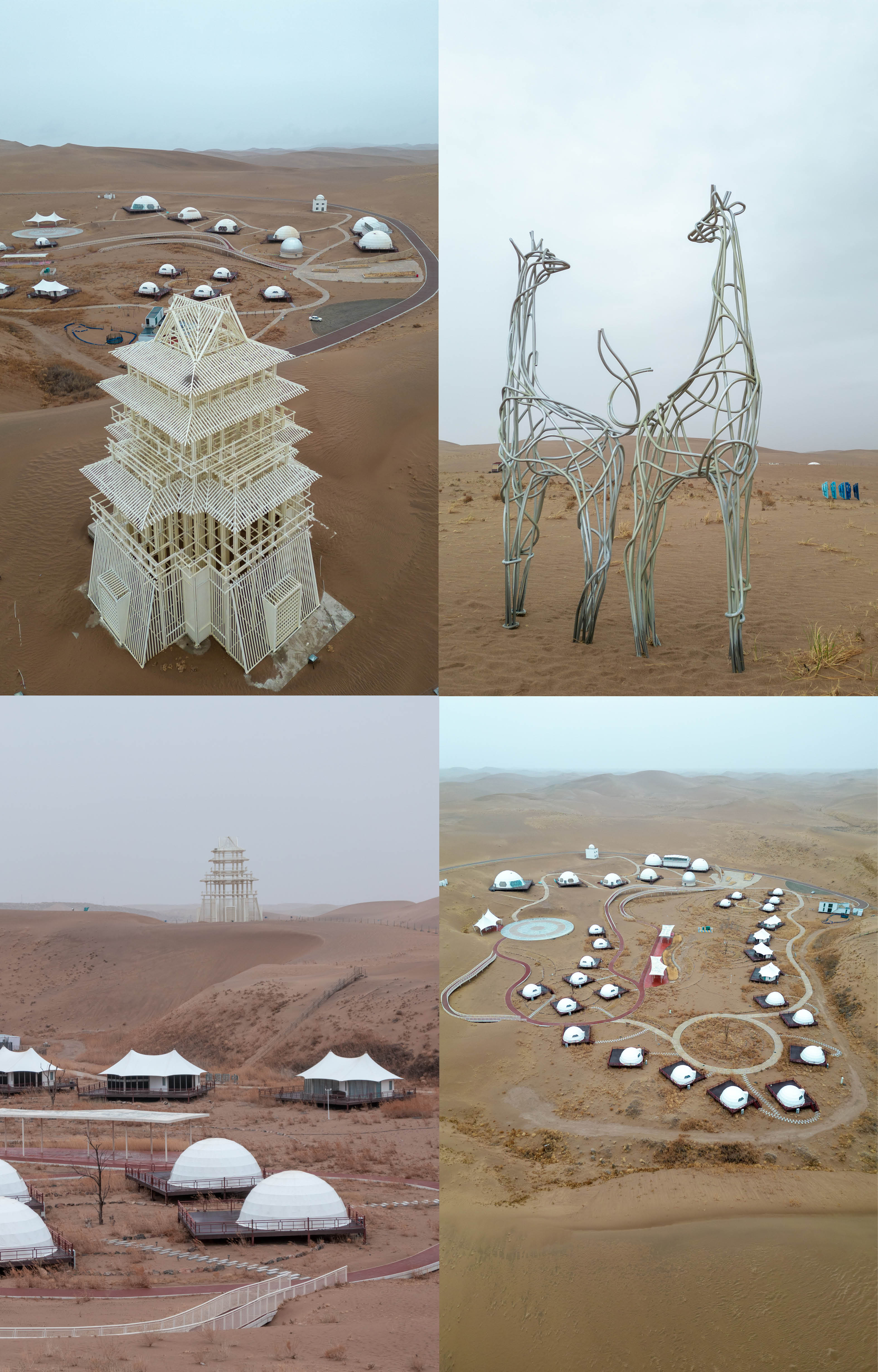 凉州不凉米粮川：人间四月天，行游河西天府之国“银武威”