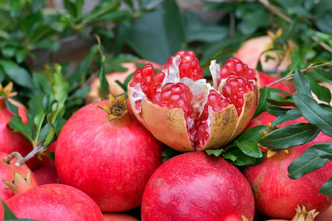 四川最适合冬季去的地方,四川最适合冬天去的地方