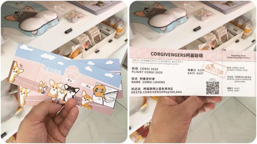 深圳开了一家柯基主题咖啡屋,柯基宠物咖啡馆