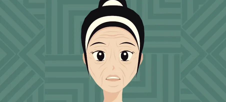 蛋白粉的作用,蛋粉的营养价值