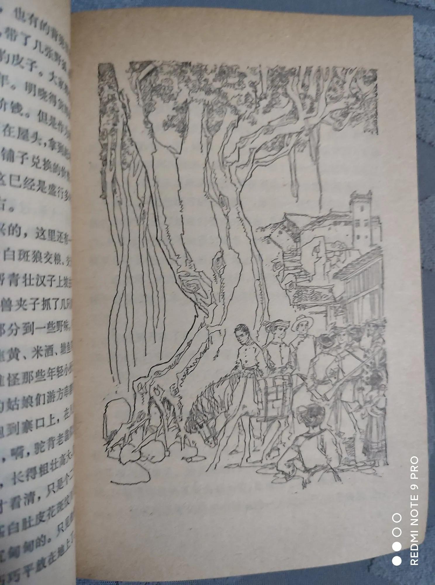 作家叶辛最近视频,叶辛的小说怎么样