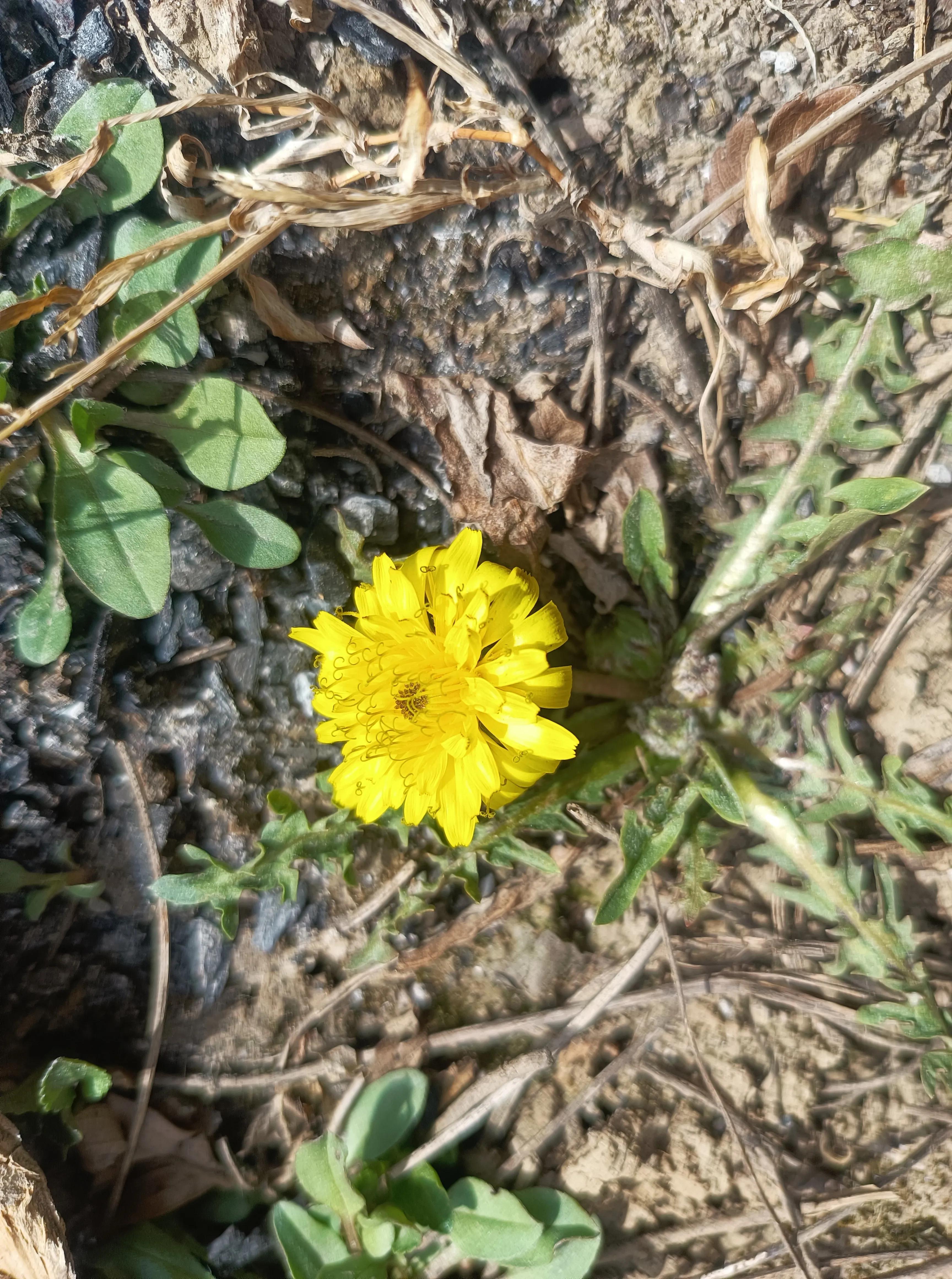 听音乐是最好的用英语怎么说,听音乐的英语应该怎么说