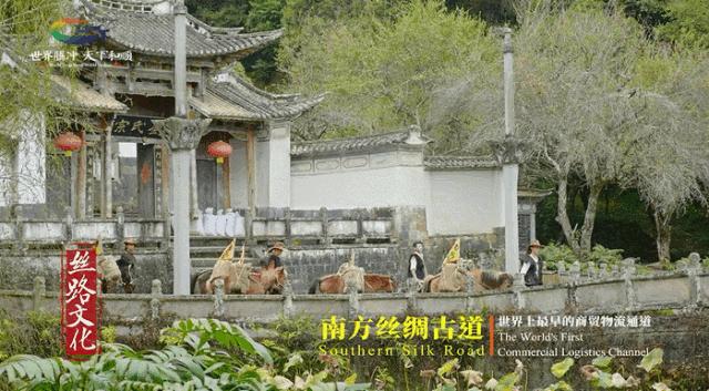 年度最佳22℃暖冬小城!全国唯一半城银杏,半城温泉!现在来刚好