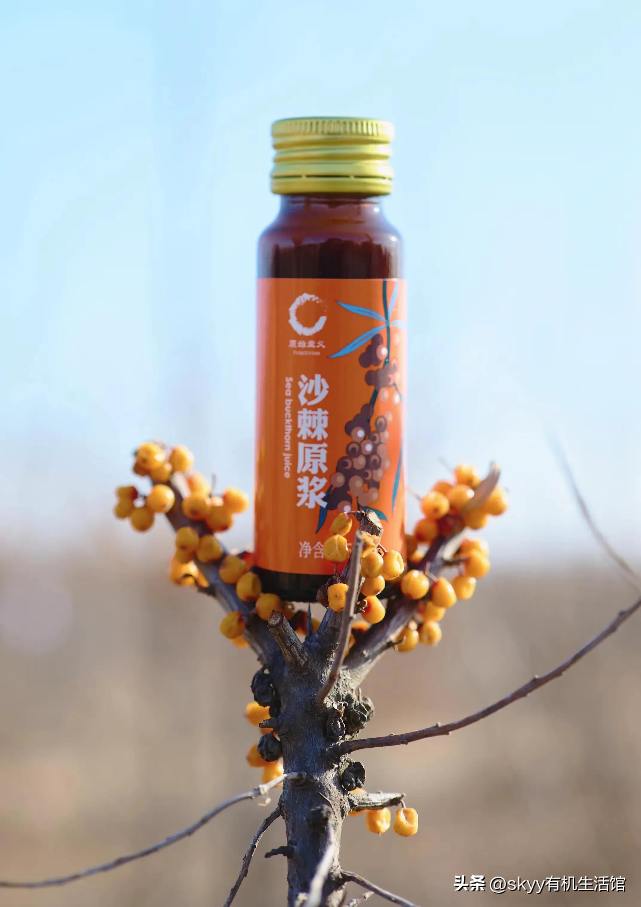 有机沙棘原浆多少钱,有机沙棘原浆推荐哪家