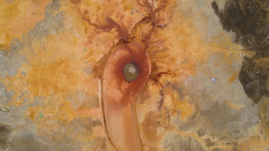 99％的人没到过的神秘大陆丨七天六夜追寻可可西里的美丽传说