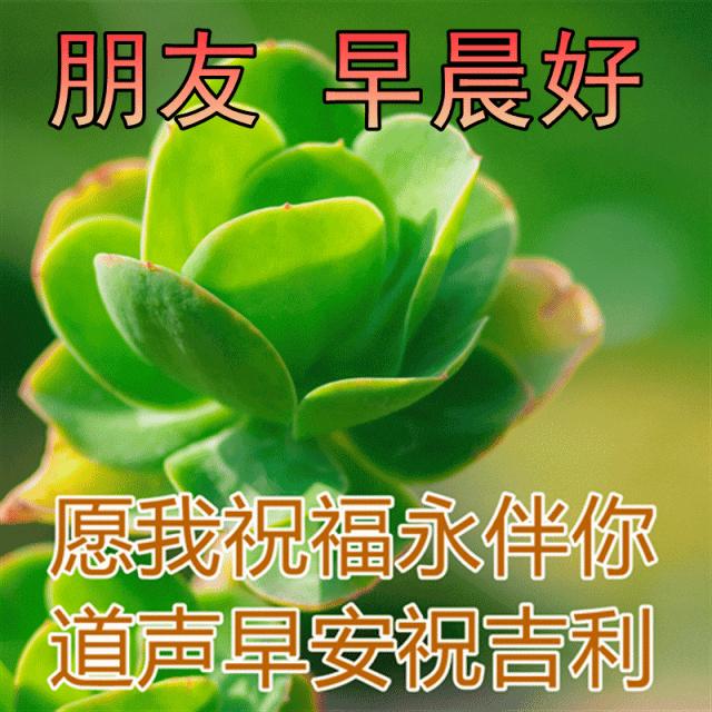 经典动人的早安心语语录汇编76条,早安心语带字正能量简短的句子
