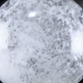 双十一应该囤什么护肤品,双十一囤货必买清单宝妈